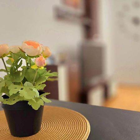 Apartament Confort Hd Hunedoara Ngoại thất bức ảnh