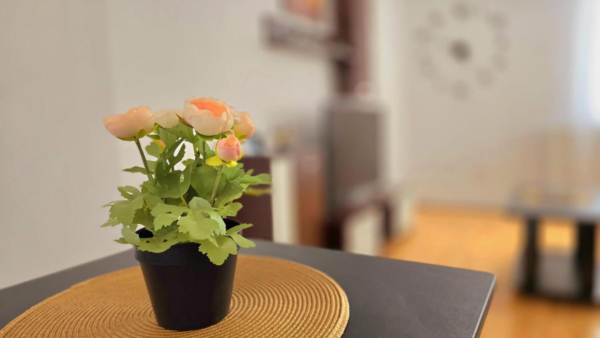 Apartament Confort Hd Hunedoara Ngoại thất bức ảnh